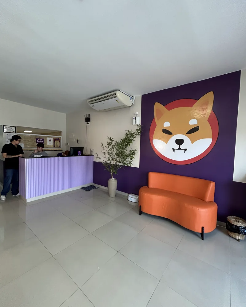 Recepção do Shiba Pet Care com balcão lilás, sofá laranja e o mascote Shiba na parede roxa