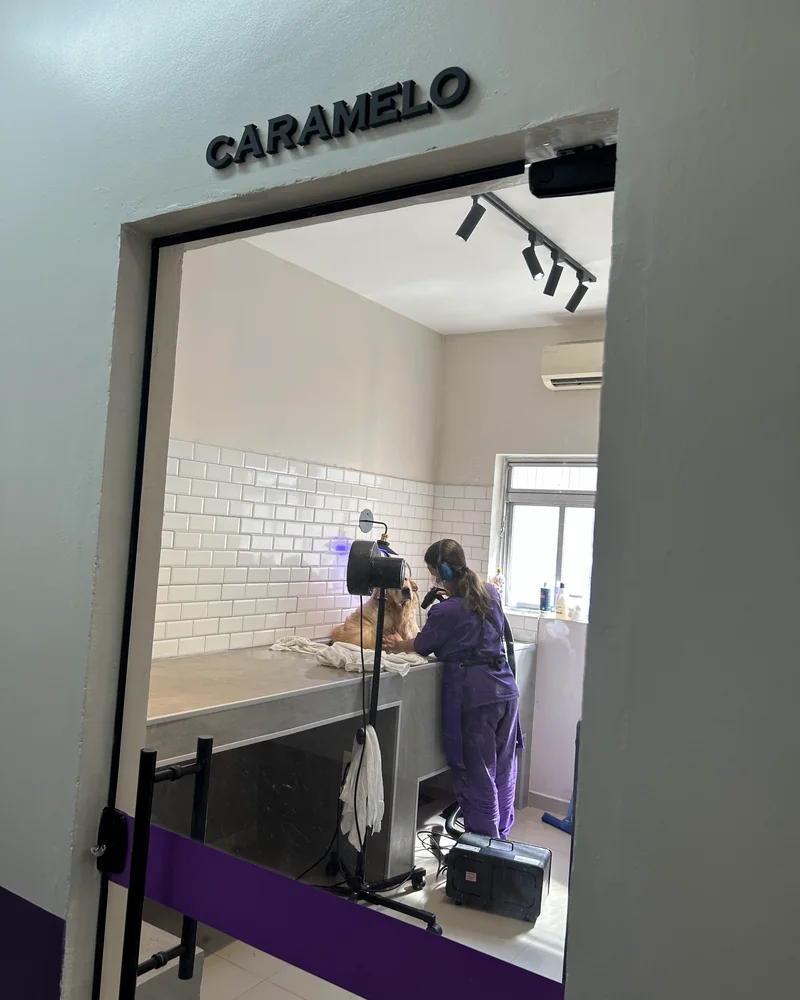 Sala de atendimento individual "Caramelo", com a tosadora trabalhando